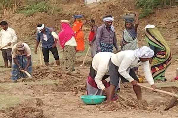 mnrega